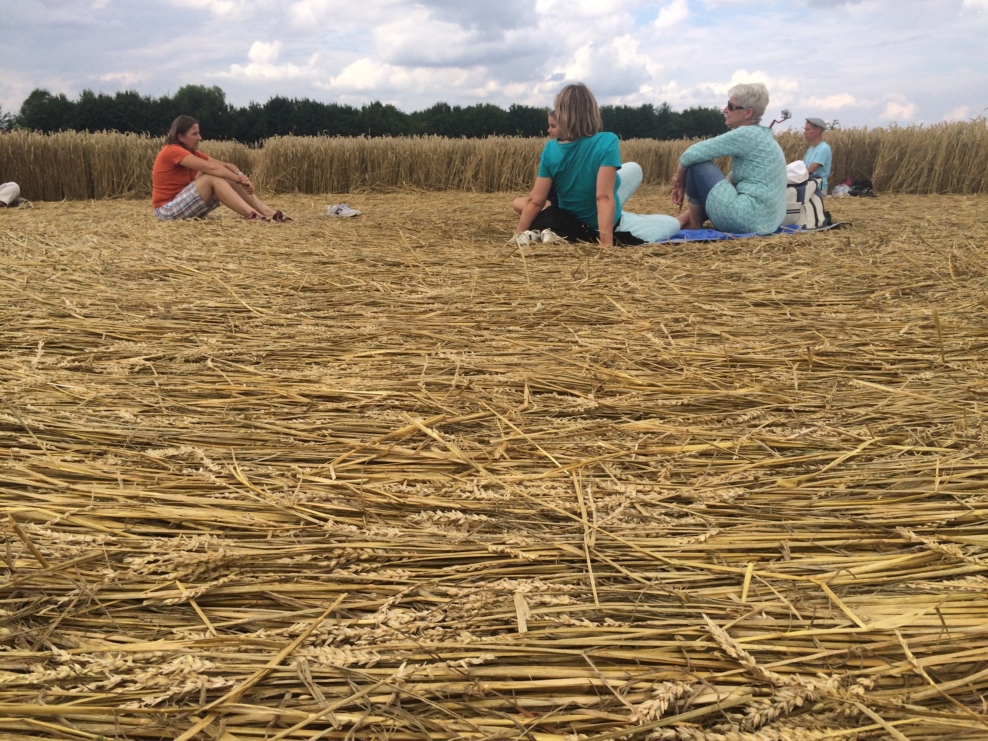 im Kornkreis Mammendorf Zentrum