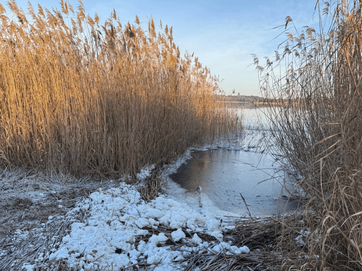 Westliches Neujahr: Warum es sich „schräg“&nbsp;anfühlt