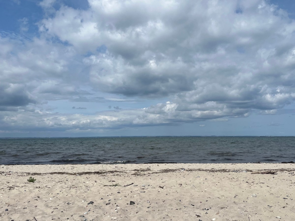 Nicht jede Fürsorge bringt auch&nbsp;Sicherheit