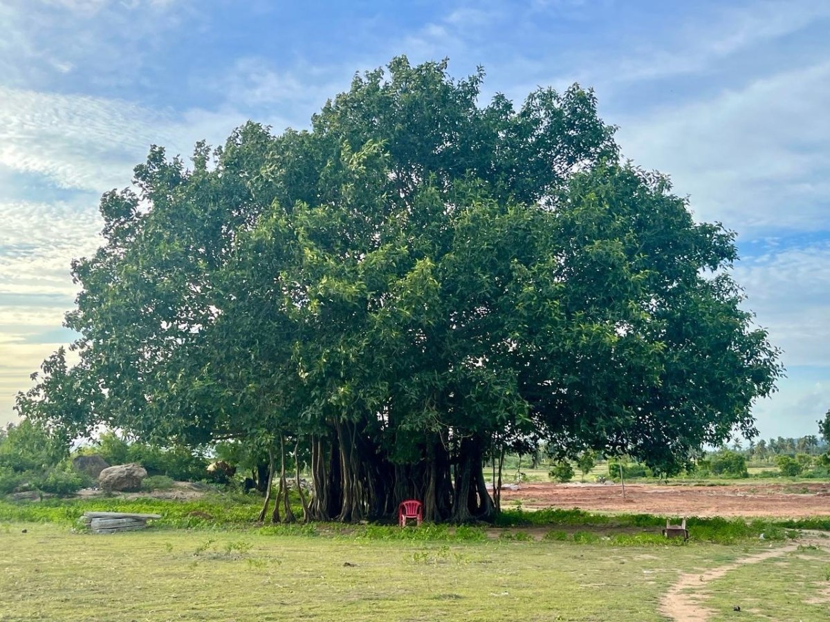 Zu viel Input, zu wenig innere&nbsp;Anbindung?
