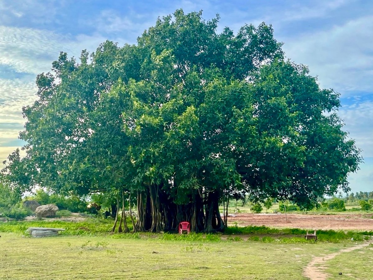 Zu viel Input, zu wenig innere&nbsp;Anbindung?